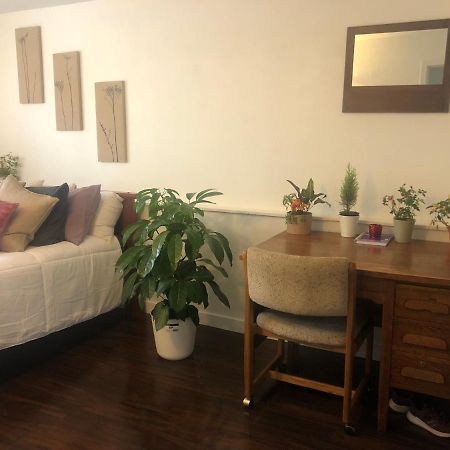 Quiet-Comfy 3 Bedroom Home On A Tree Lined Street In Kits Ванкувер Екстер'єр фото
